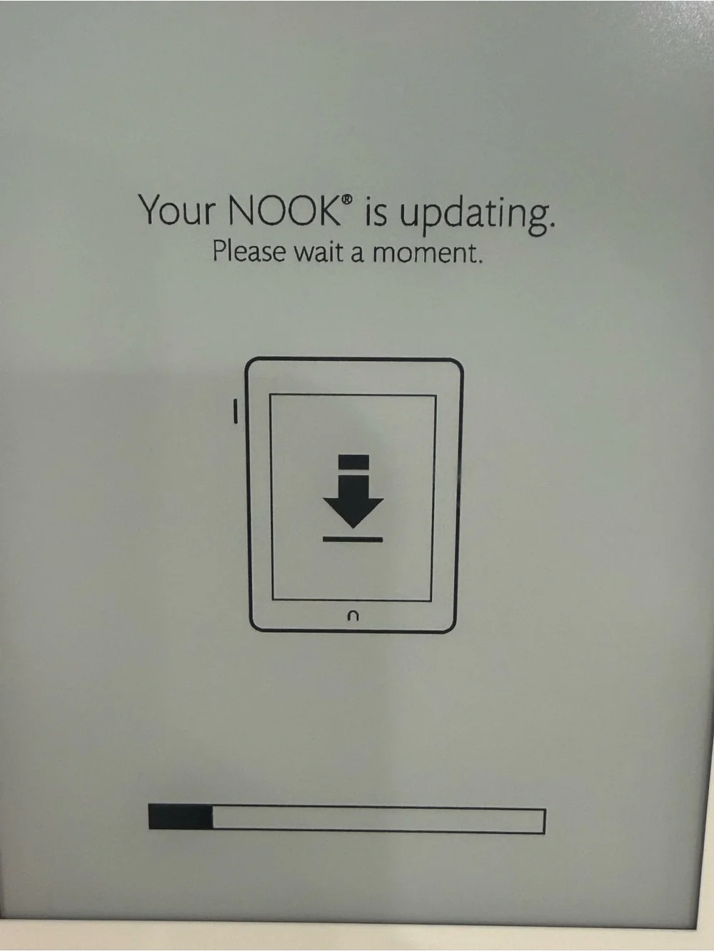 Nook eBook Reader in Metallic Champagne